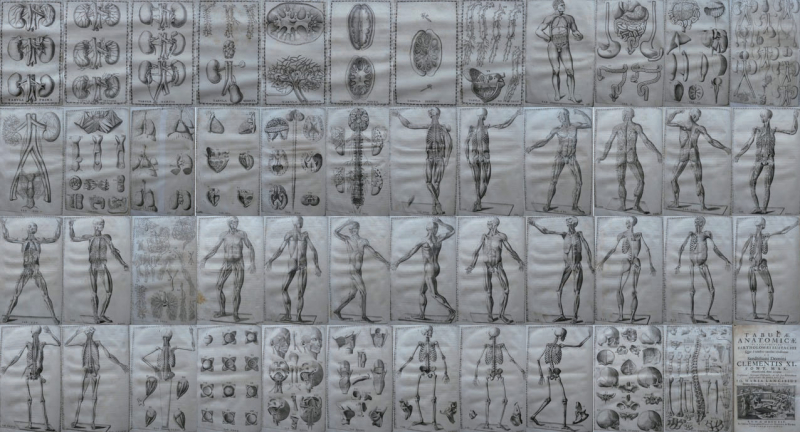 Fig. 2. Série des Tabulae Anatomicae d’Eustache, Rome, 1714 (collection particulière) 